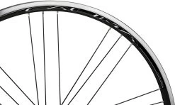 Campagnolo® Calima G3 Laufradsatz 12 Campagnolo® Calima G3 Laufradsatz -Shimano Store 322808