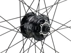 Mountain Alivio Disc 6-Loch DT Swiss 466d 29" Laufradsatz -Shimano Store 399626