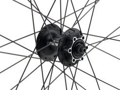 Mountain Alivio Disc 6-Loch DT Swiss 466d 29" Laufradsatz -Shimano Store 399633